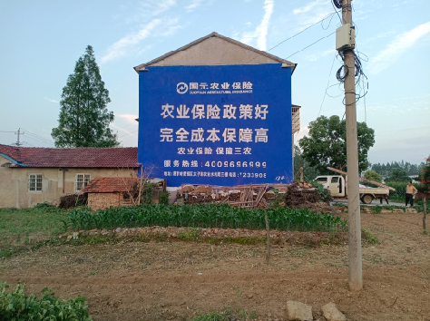 禄丰墙体广告为何受追捧?