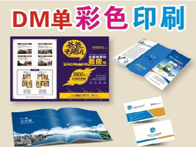 禄丰单页印刷，色彩搭配简单。
